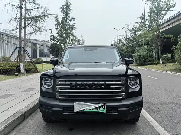 Haval Raptors New Energy 2023