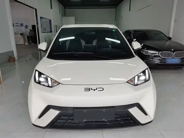 BYD Seagull 2025