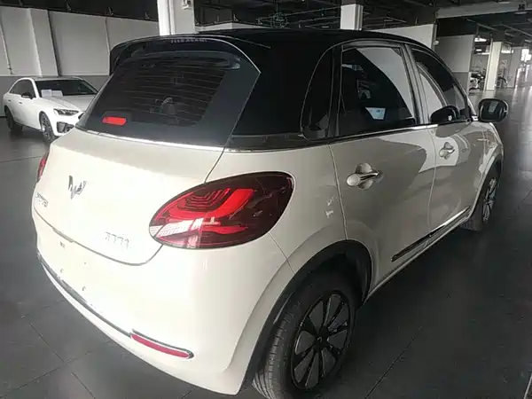 Wuling Bingo 2024