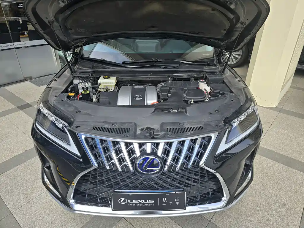 Lexus RX 2020 — фото 13