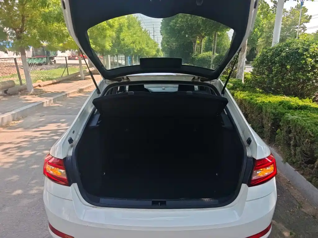 Skoda Octavia 2019 — фото 19