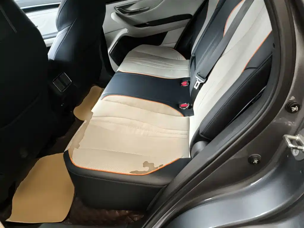 BYD PLUS New Energy 2022 — фото 17