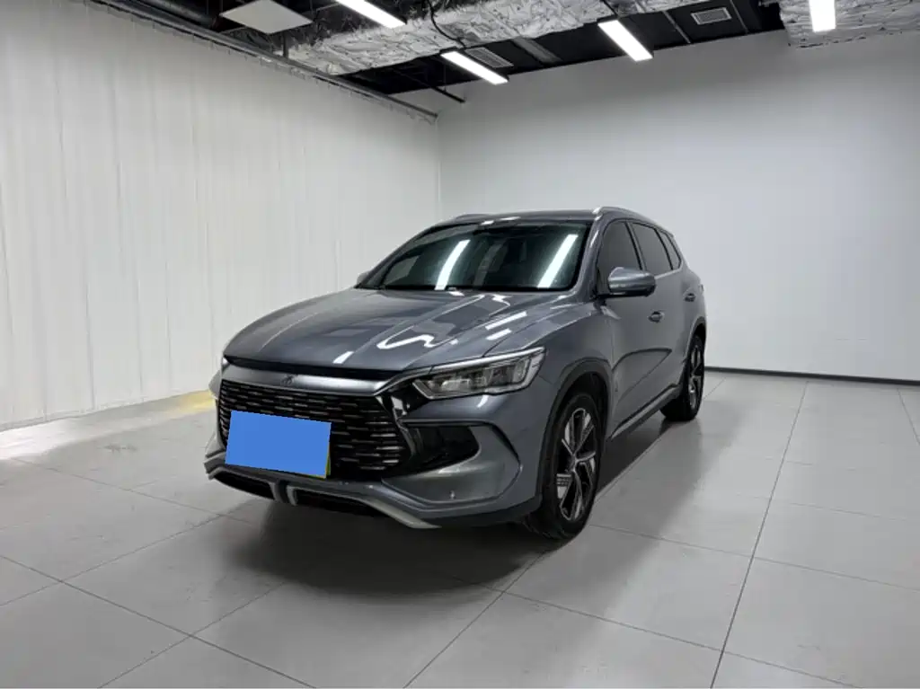 BYD Pro New Energy 2024 — фото 1