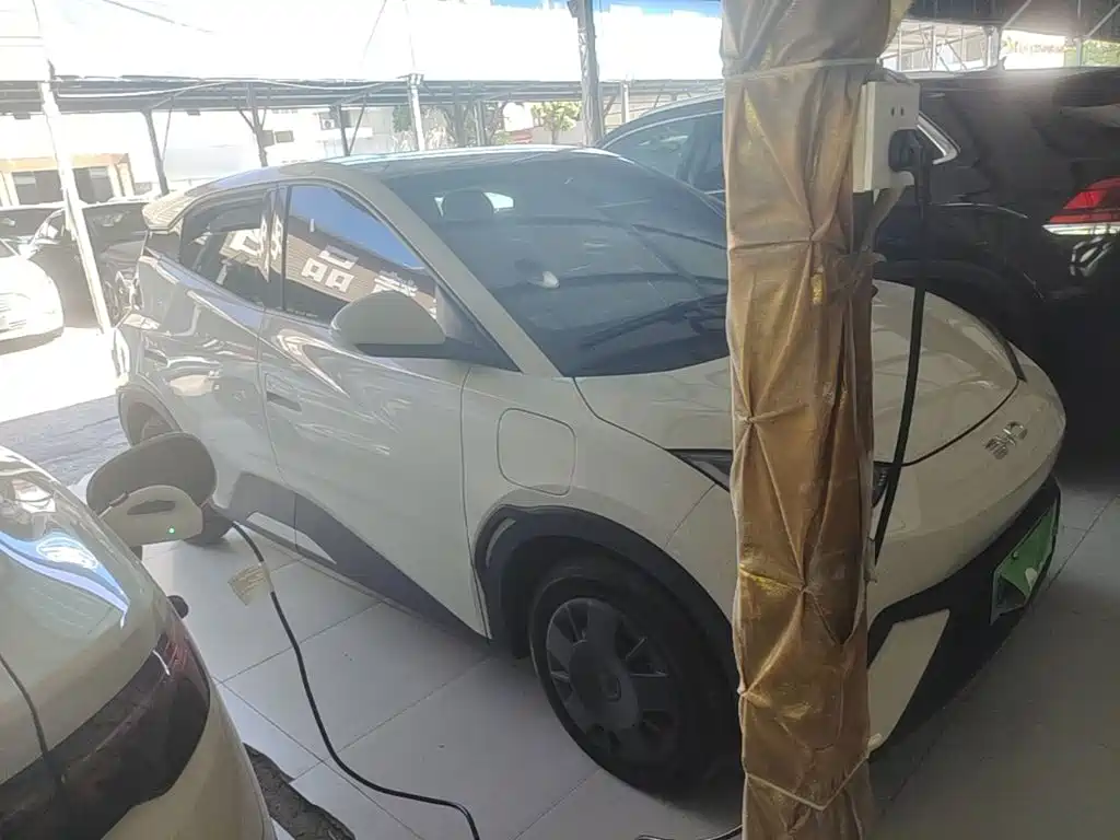 BYD Seagull 2025