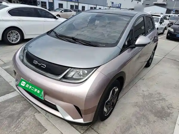 BYD Dolphin 2022