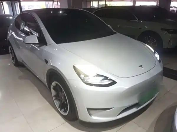 Tesla Model Y 2021