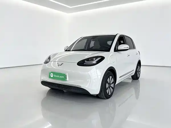 Wuling Bingo 2024