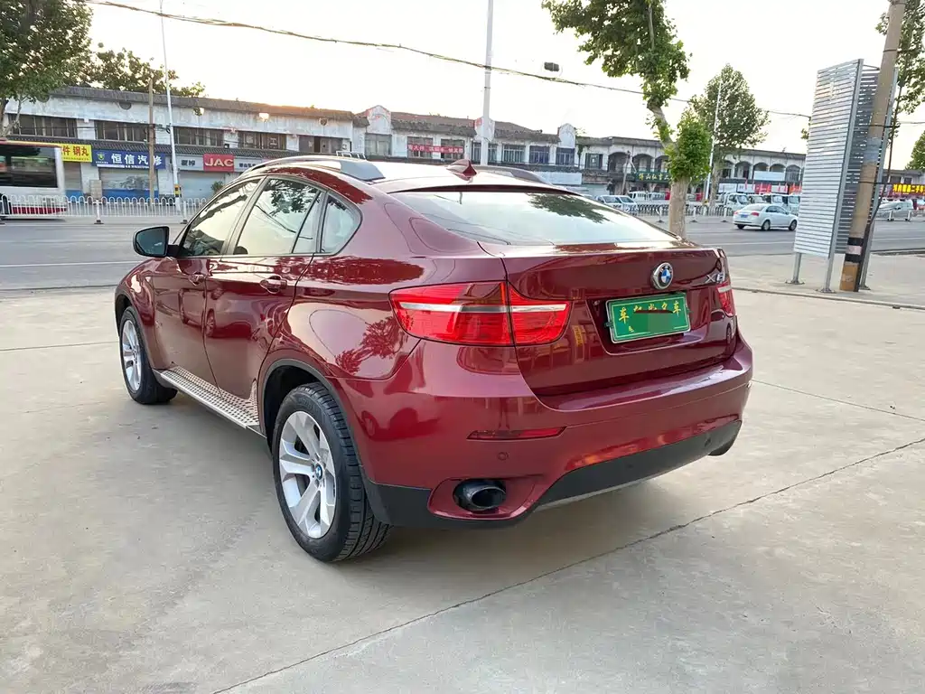 BMW X6 2010