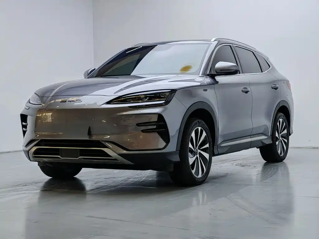 BYD PLUS New Energy 2024 — фото 1