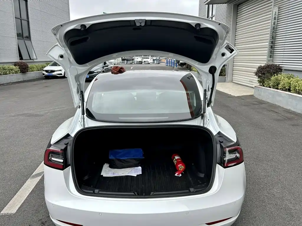 Tesla Model 3 2020 — фото 10