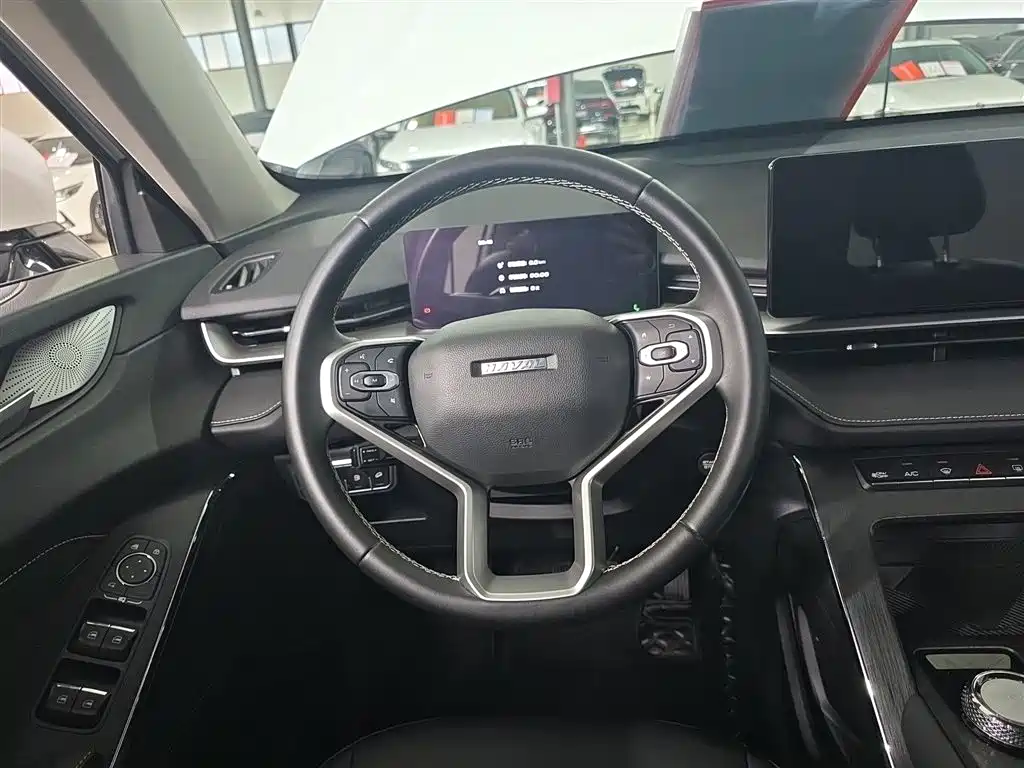 Haval H6 New Energy 2024 — фото 11
