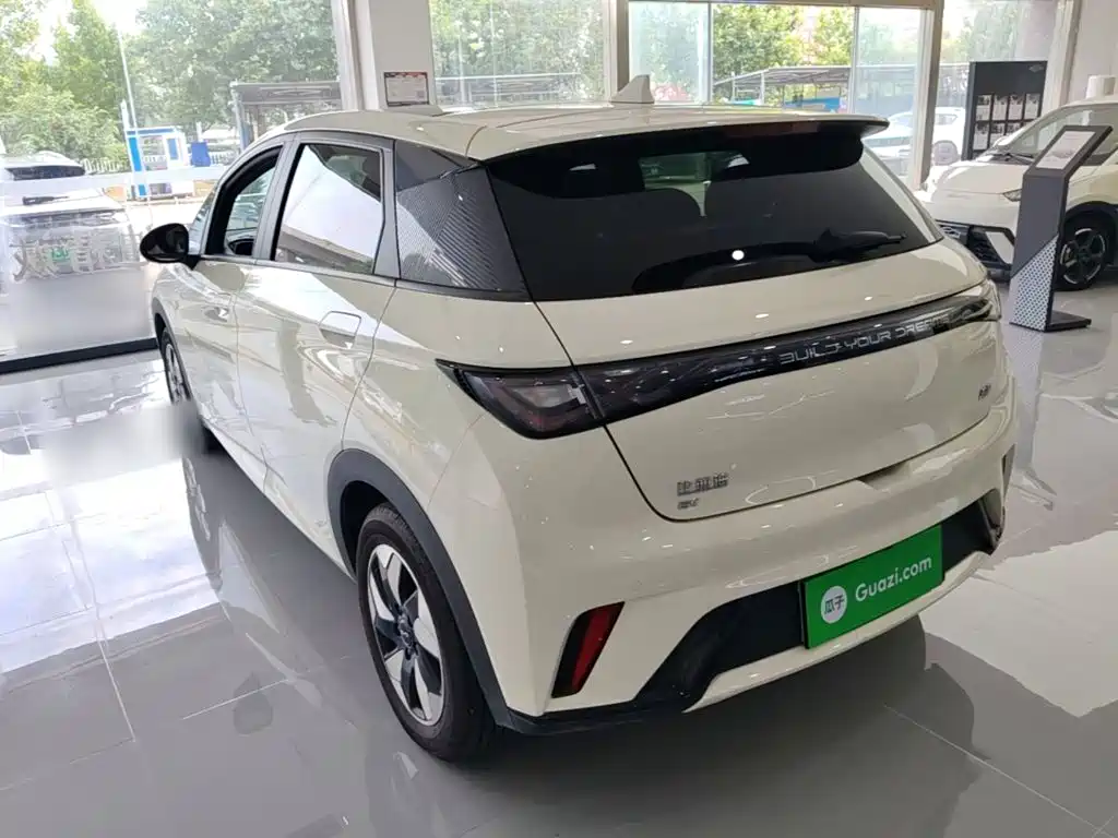 BYD Dolphin 2024