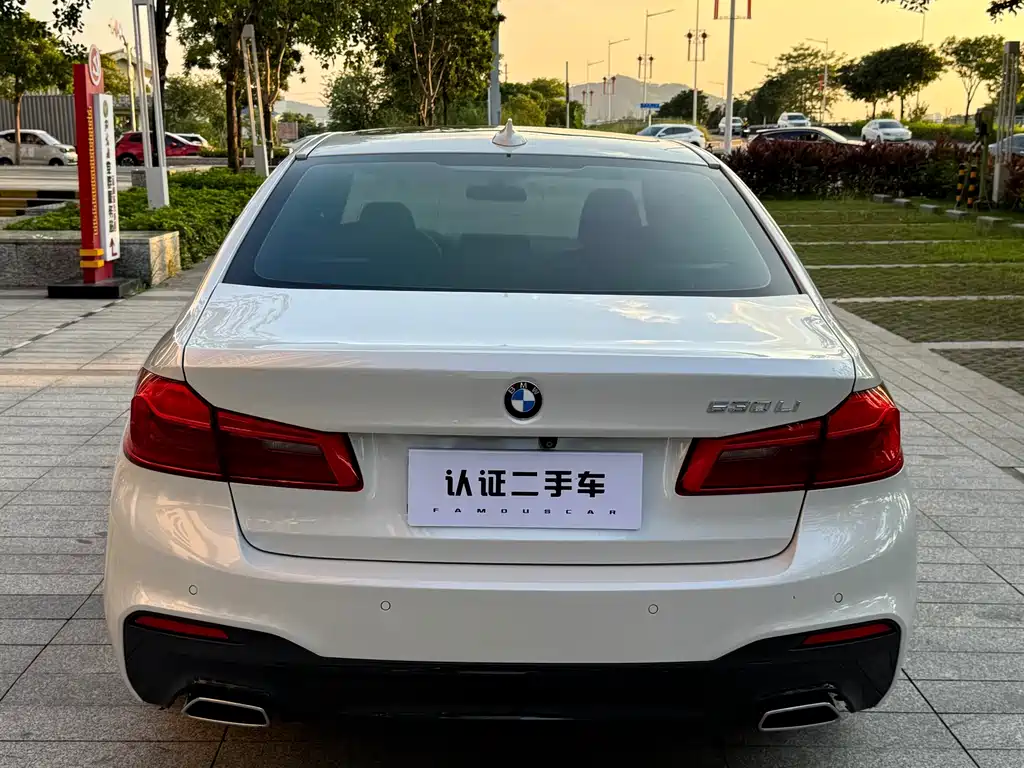 BMW 5 Series 2019 — фото 13