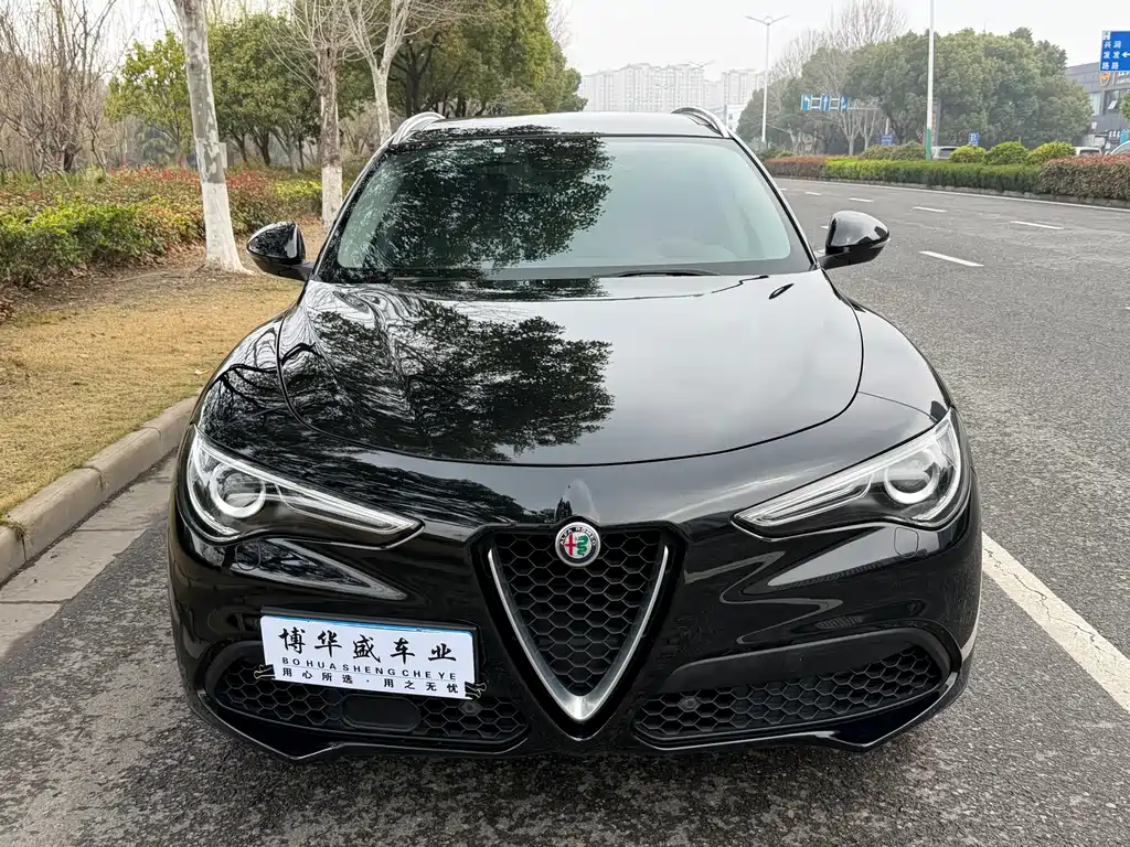 Alfa Romeo Stelvio 2019 — фото 2