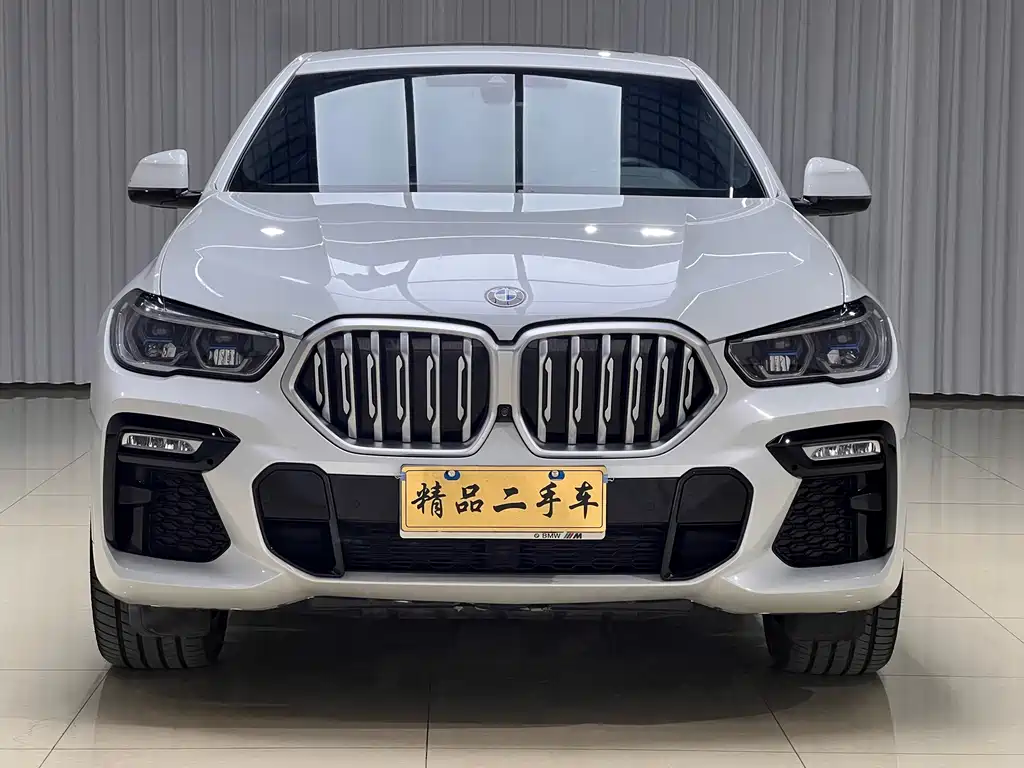 BMW X6 2020 — фото 2