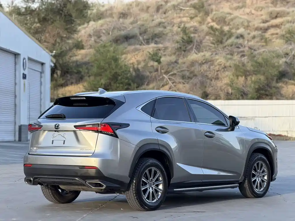Lexus NX 2020 — фото 4