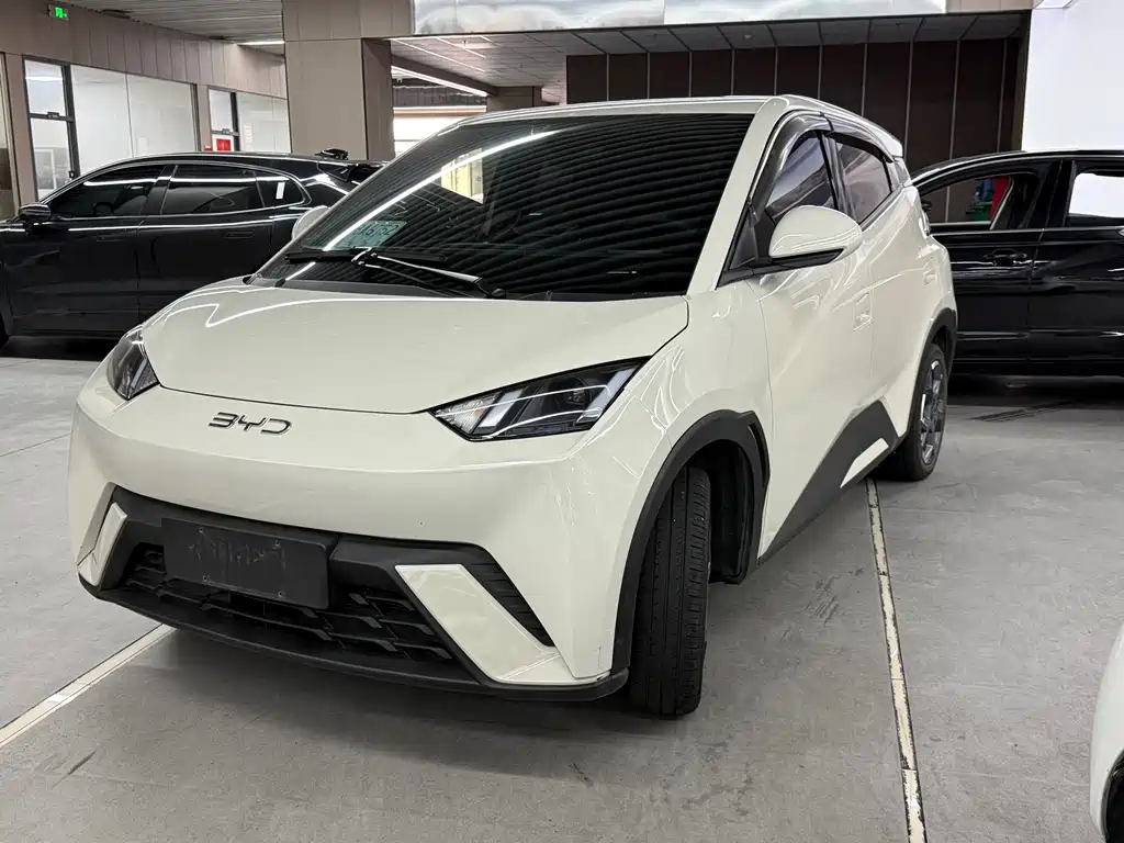BYD Seagull 2024