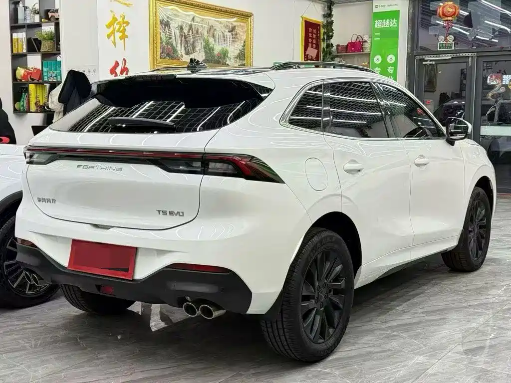 Dongfeng Fengxing T5 2023 — фото 9