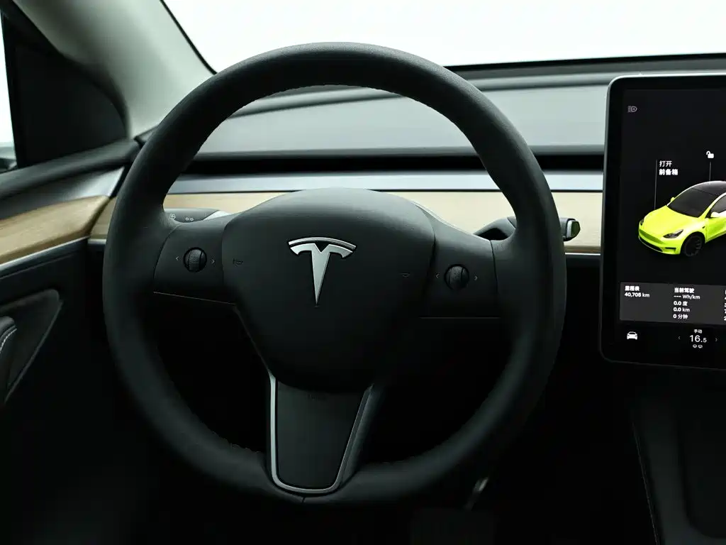 Tesla Model Y 2021 — фото 16