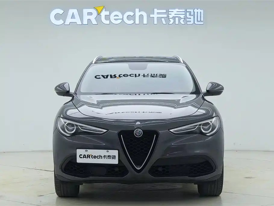 Alfa Romeo Stelvio 2019 — фото 3