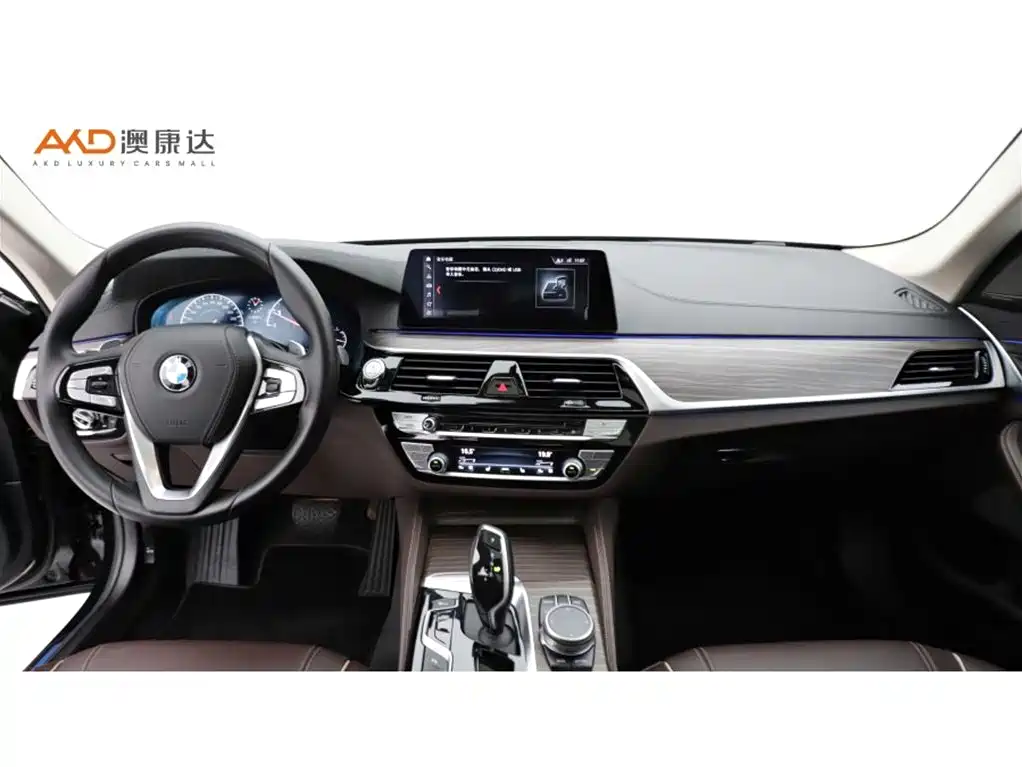 BMW 5 Series 2019