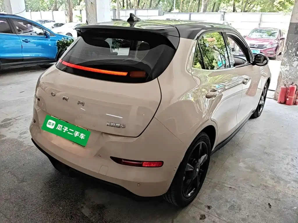 Ora Good Cat 2024