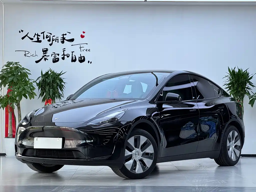 Tesla Model Y 2023 — фото 1