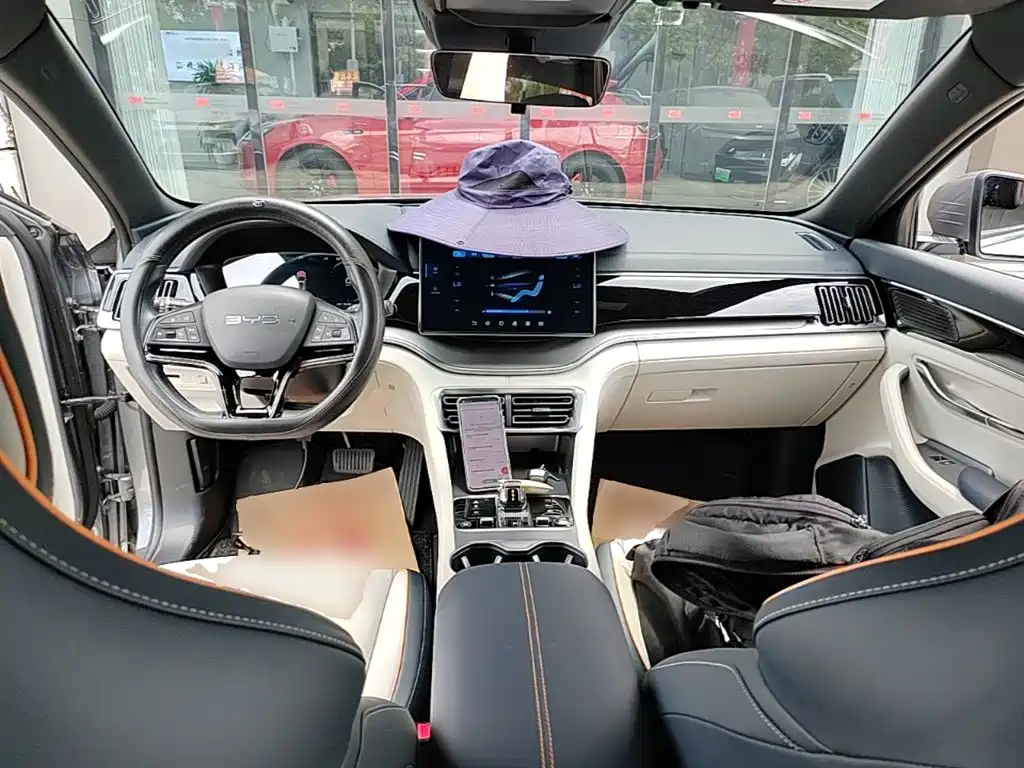 BYD Song PLUS New Energy 2024 — фото 10