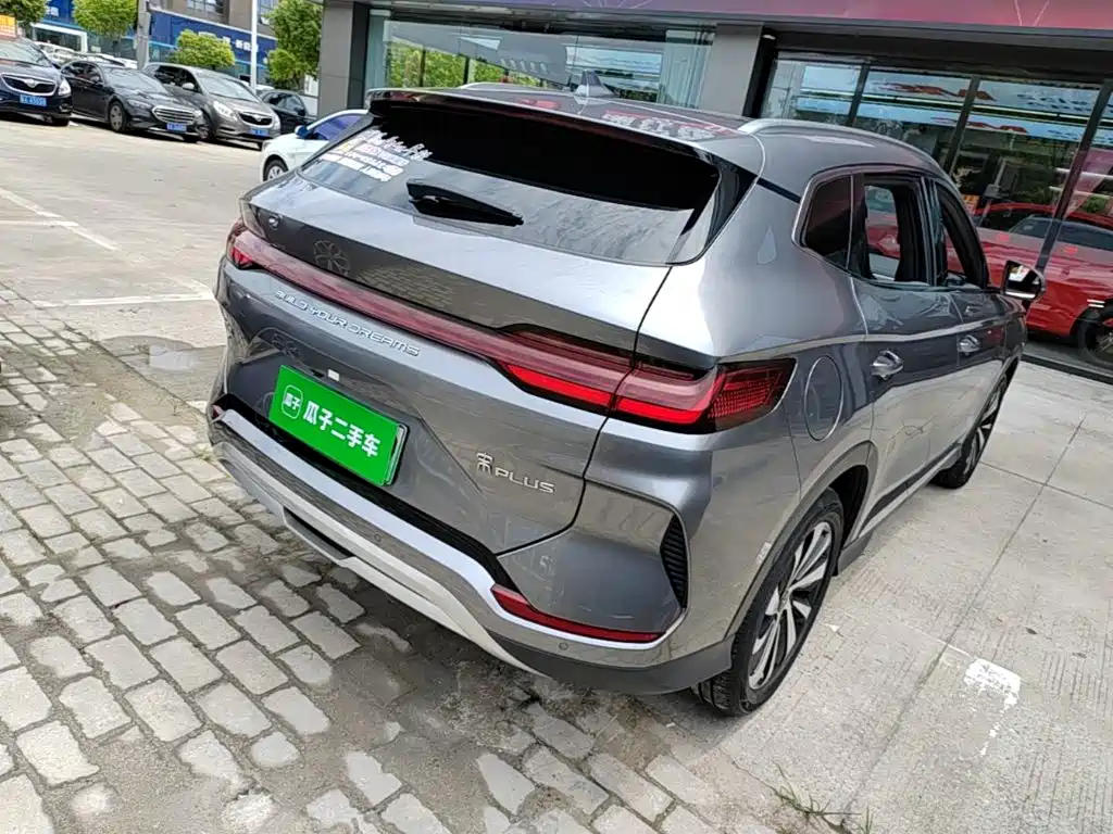 BYD Song PLUS New Energy 2024 — фото 7