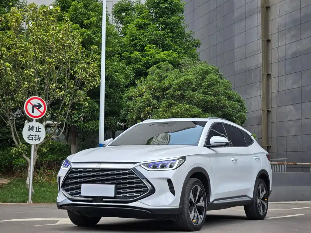 BYD PLUS New Energy 2022 — фото 1