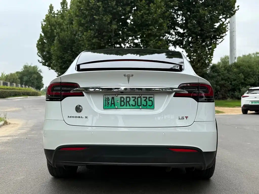 Tesla Model X 2017 — фото 8