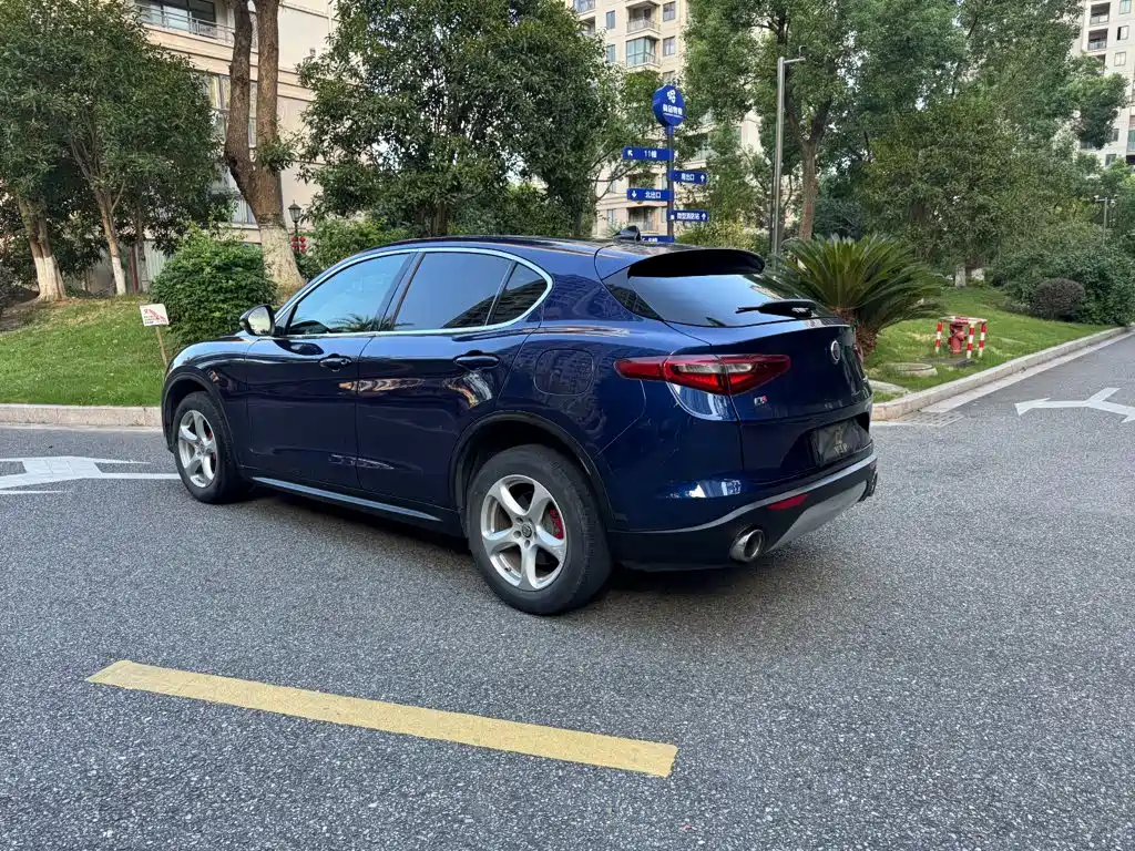 Alfa Romeo Stelvio 2019 — фото 4