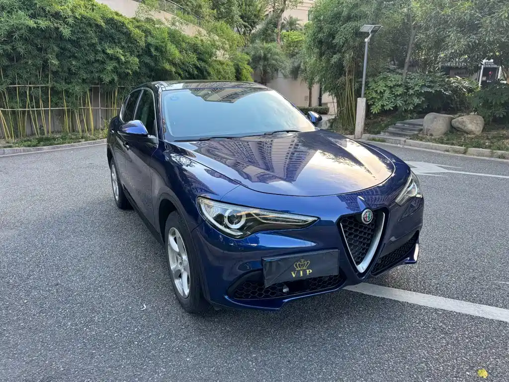 Alfa Romeo Stelvio 2019 — фото 8