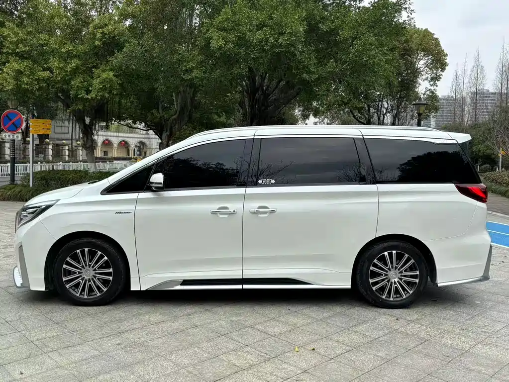 GAC Motor Trumpchi M8 2021 — фото 15