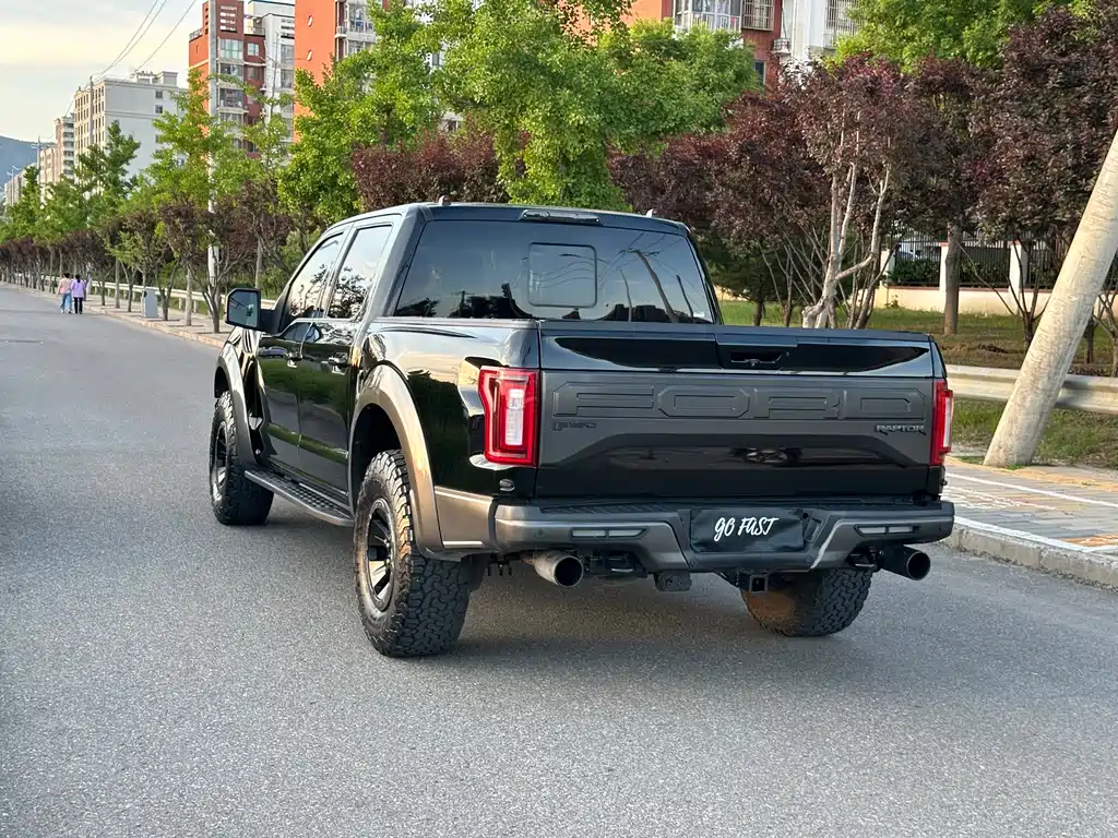 Ford F-150 Raptor 2017 — фото 6