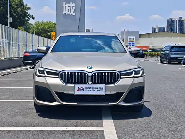 BMW 5 Series 2021