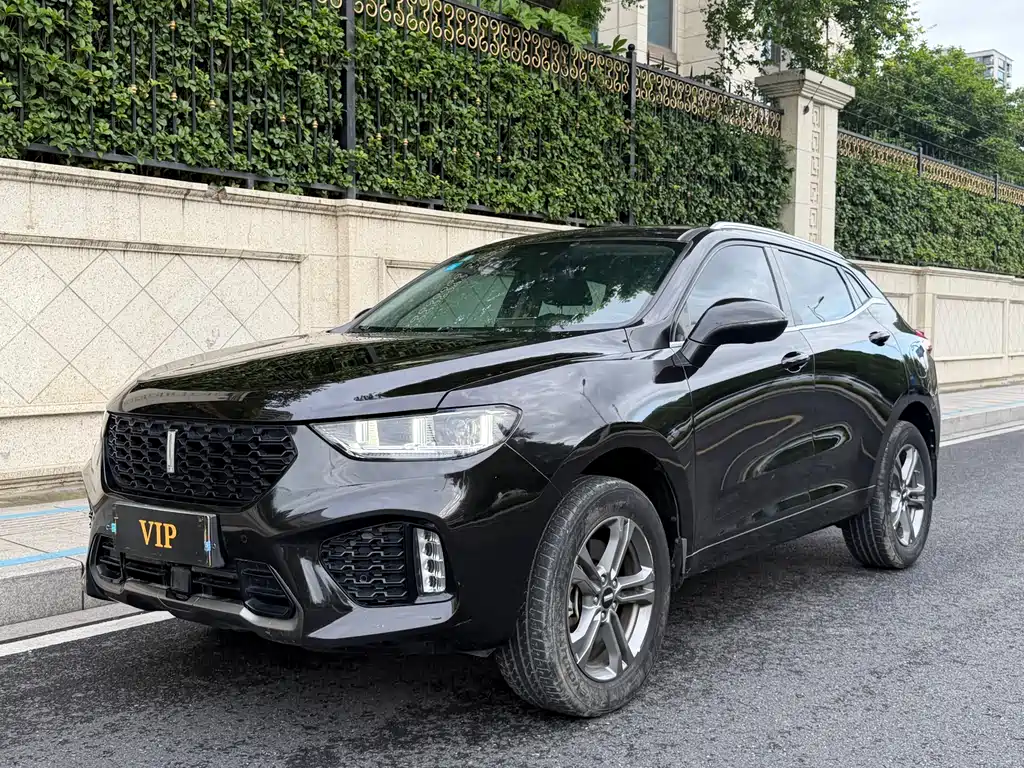 Wey VV5 2019