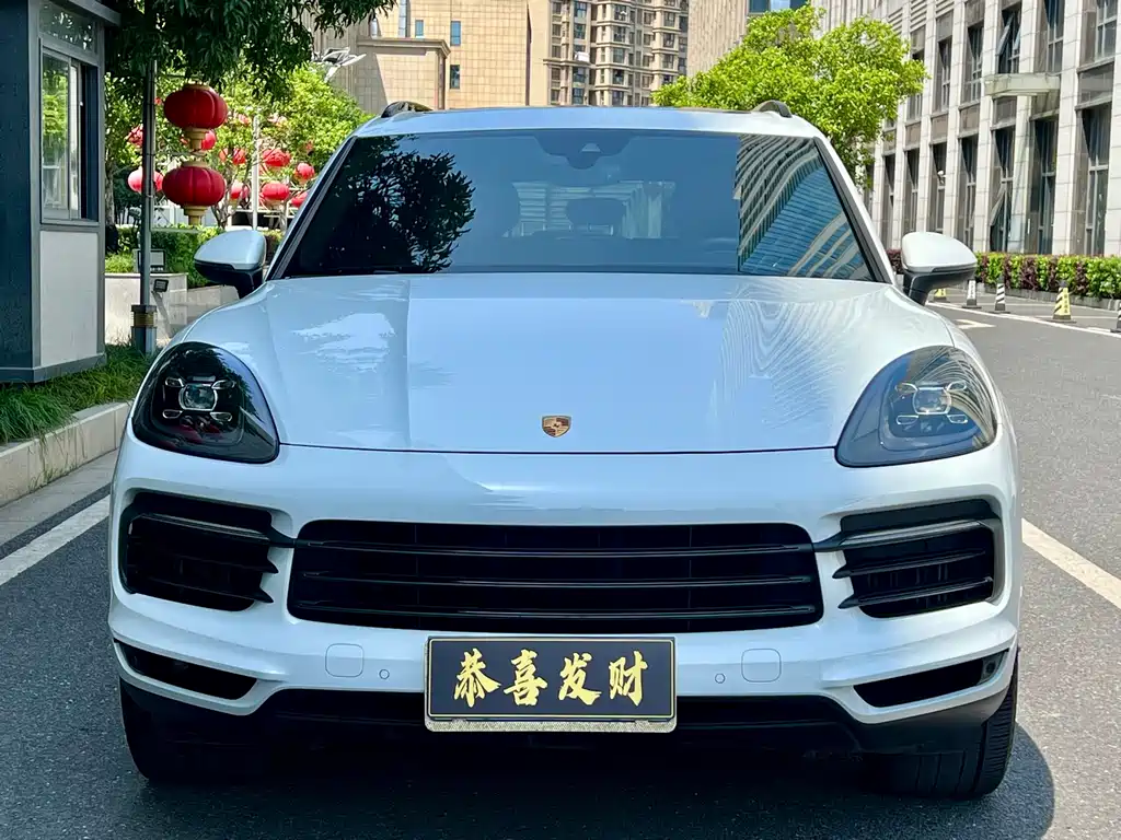 Porsche Cayenne 2020 — фото 4