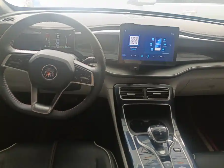 BYD Qin PLUS 2021 — фото 12