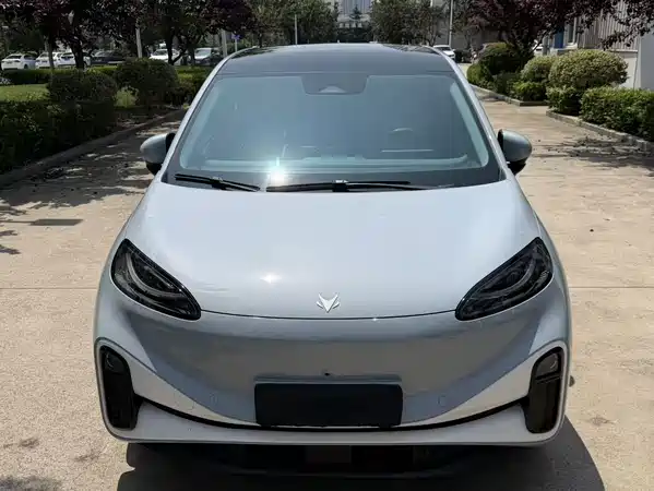 Arcfox Koala S 2025