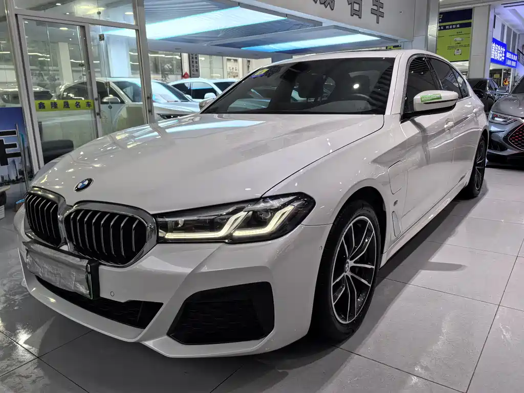 BMW 5 Series New Energy 2021