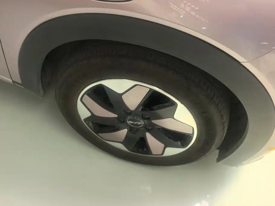 BYD Dolphin 2024