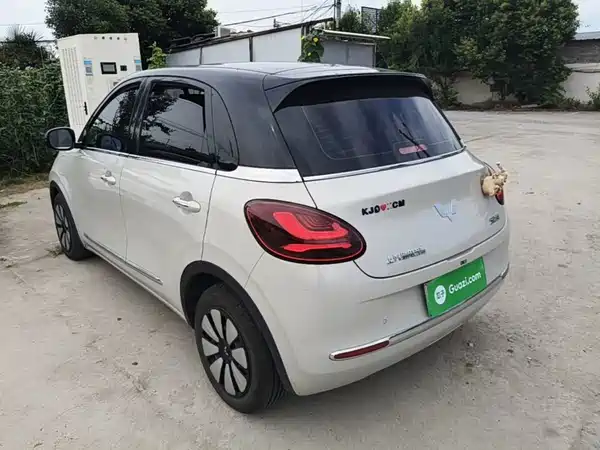 Wuling Bingo 2024