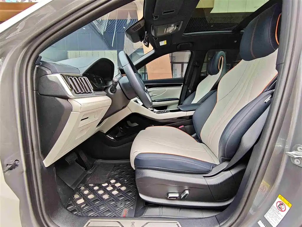 BYD PLUS New Energy 2022 — фото 6