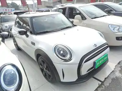 MINI MINI 2024