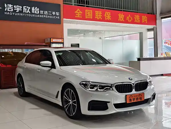 BMW 5 Series 2019