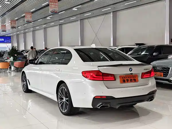 BMW 5 Series 2019