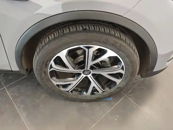BYD Tang New Energy 2025