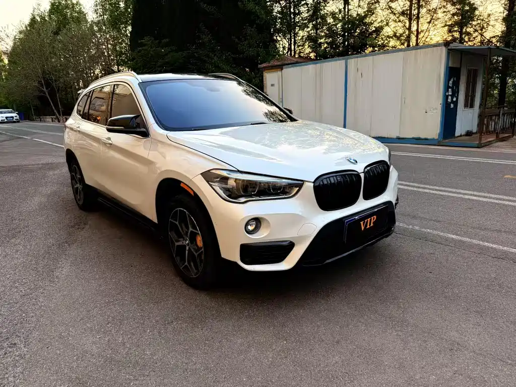 BMW X1 2017 — фото 2