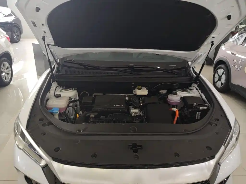 BYD Song Pro New Energy 2025 — фото 20